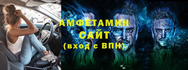мет Алексин